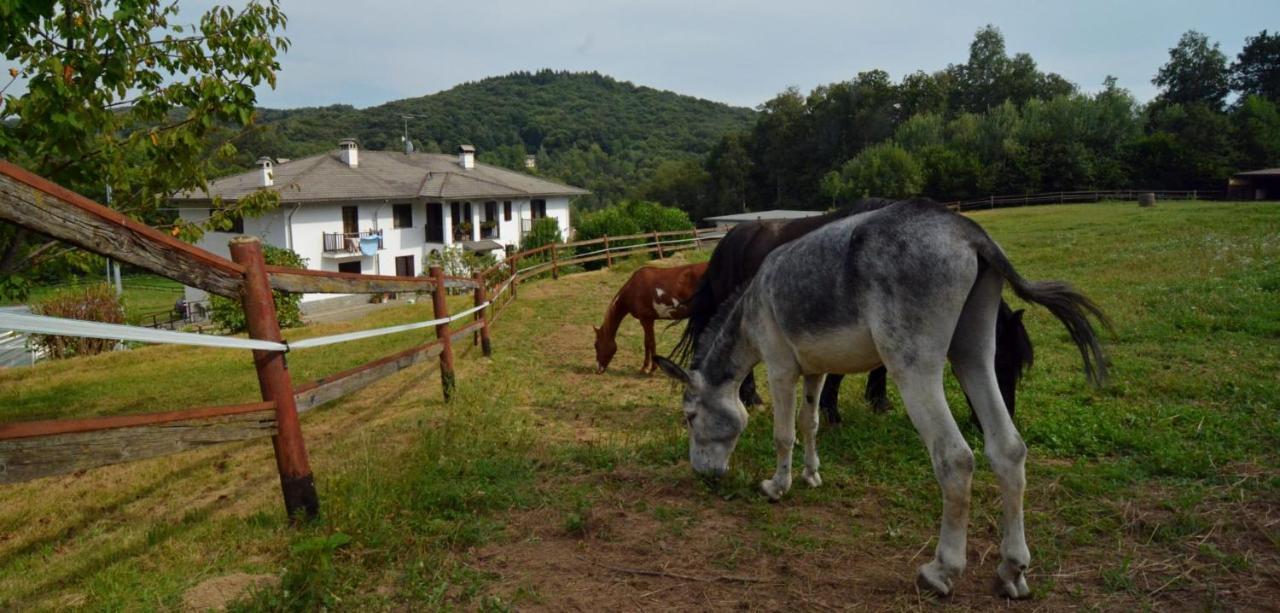 Favetto Family Ranch Acomodação com café da manhã Rueglio Exterior foto