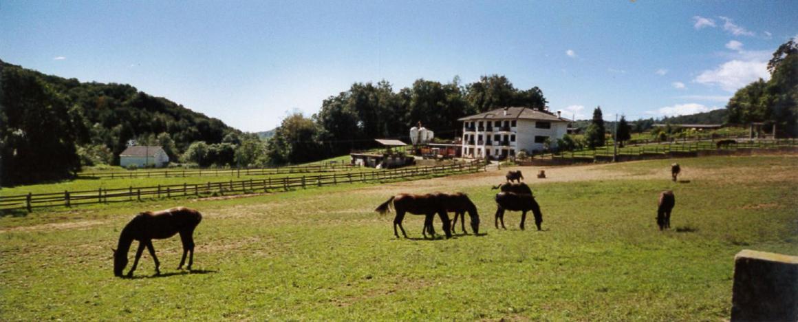 Favetto Family Ranch Acomodação com café da manhã Rueglio Exterior foto