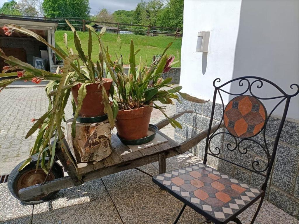 Favetto Family Ranch Acomodação com café da manhã Rueglio Exterior foto