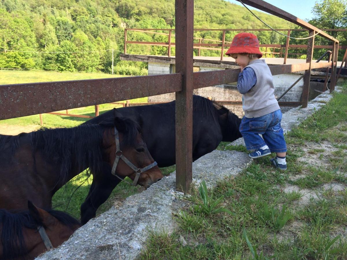 Favetto Family Ranch Acomodação com café da manhã Rueglio Exterior foto